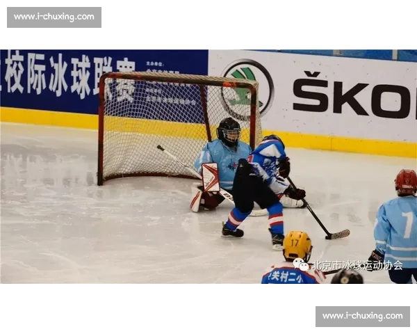 职业冰球赛的激烈对决与运动员背后的故事探索 - 副本 - 副本